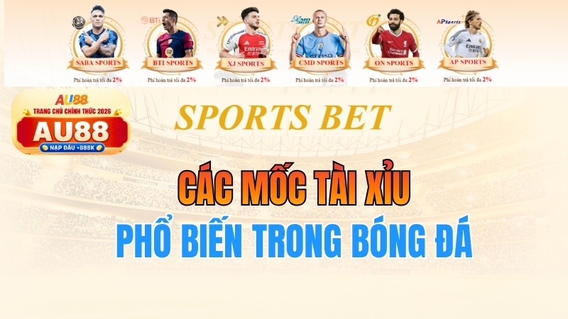 Các Mốc Tài Xỉu Phổ Biến Trong Bóng Đá